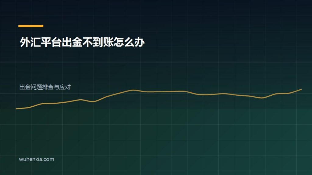 外汇平台出金不到账怎么办?五种情况详细应对方案