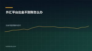 外汇平台出金不到账怎么办？五种情况详细应对方案